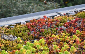 the cost of Pollhill green roof installation