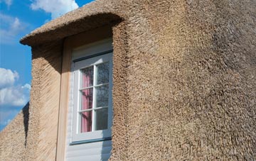 Pollhill thatch roof disadvantages
